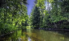 Eels Creek Panoramio