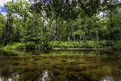 Eels Creek Panoramio Eric Raymond Lanning