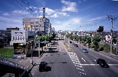 Ehime Pref. Route 11