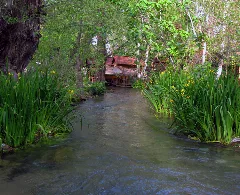 Elvanlı Panoramio