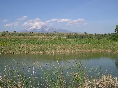 Etna From Big Distance