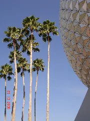 Eustis, Fl, Usa Panoramio