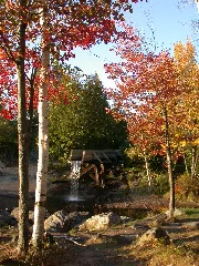 Fall At Crooked Slide Park Panoramio