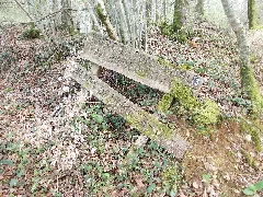 Foret De Biencourt Sur Orge