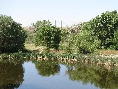 Fountation Creek Nature Center 4