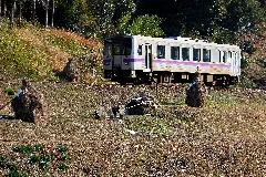 Fukuen Line (2188535533)
