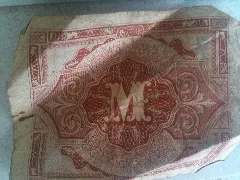German Allied Mark Back