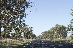 Geurie Nsw 2818, Australia Panoramio (3)