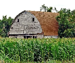 Ghost Barn, Northwest Ia 7 13A (15157694439)
