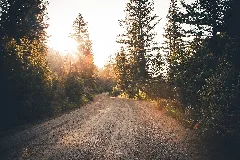 Golden Sun Over A Dirt Road (Unsplash)