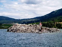 Grant Island Lake Okanagan Panoramio