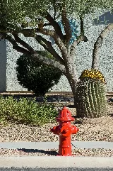 Green Valley Fireplug