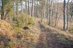 Grevens Väg Vid Långsvan Panoramio