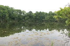 Gump Lake Milan Michigan