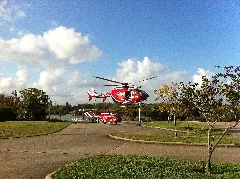 Hermannlifeflight