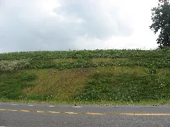 Hillside At The Gartner Site