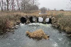 Hodges Ditch 20 01 03 057