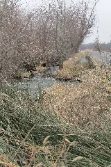 Hodges Ditch 20 01 03 058