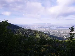 Holmes Cabin View Panoramio