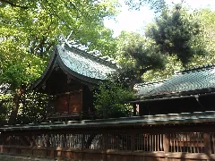 Ikkujinjahonden