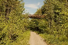 Kawartha Lakes, On, Canada Panoramio (11)