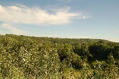 Kawartha Lakes, On, Canada Panoramio (12)