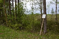 Kirmsi Hoiuala (1)