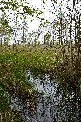 Kirmsi Hoiuala (2)