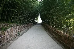 Korea Damyang Juknogwon Bamboo Garden 01