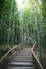 Korea Damyang Juknogwon Bamboo Garden 04