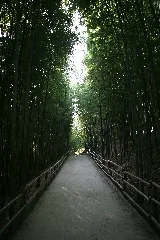 Korea Damyang Juknogwon Bamboo Garden 05
