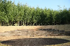 Korea Damyang Juknogwon Bamboo Garden Stage 01