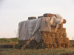 Kurbanlıkların Hammaddesi Panoramio