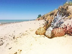 Lambton Shores, Canada (Unsplash)