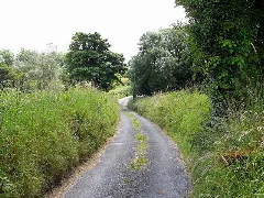 Lane To The South Of Aclare Geograph.org.uk 1393029