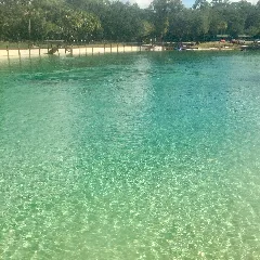 Lithia Spring