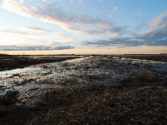 Lois Hole Conservation Provincial Park (8736043857)