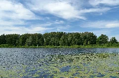 Mooste Järv