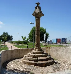 Moraleja Rollo