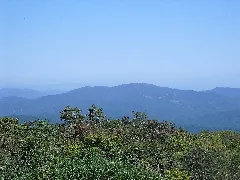 Mt.dogo
