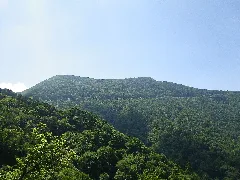 Mt.tengunomori