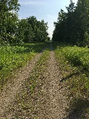 Newton Blackmour Trail1