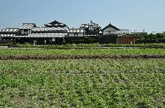 Noradokei 01