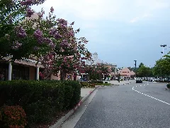 North Georgia Outlet Mall Dawsonville Ga Panoramio Chanilim714 (2)