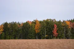 North Kawartha, On, Canada Panoramio (1)