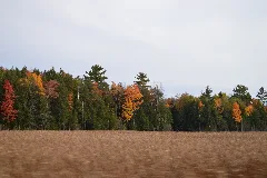 North Kawartha, On, Canada Panoramio (2)