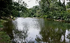 North Toe River 27527