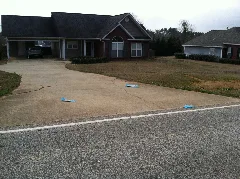 Opelika Auburn News Litter 2