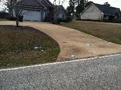 Opelika Auburn News Litter 3