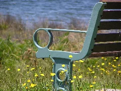 Outdoor Chair Panoramio